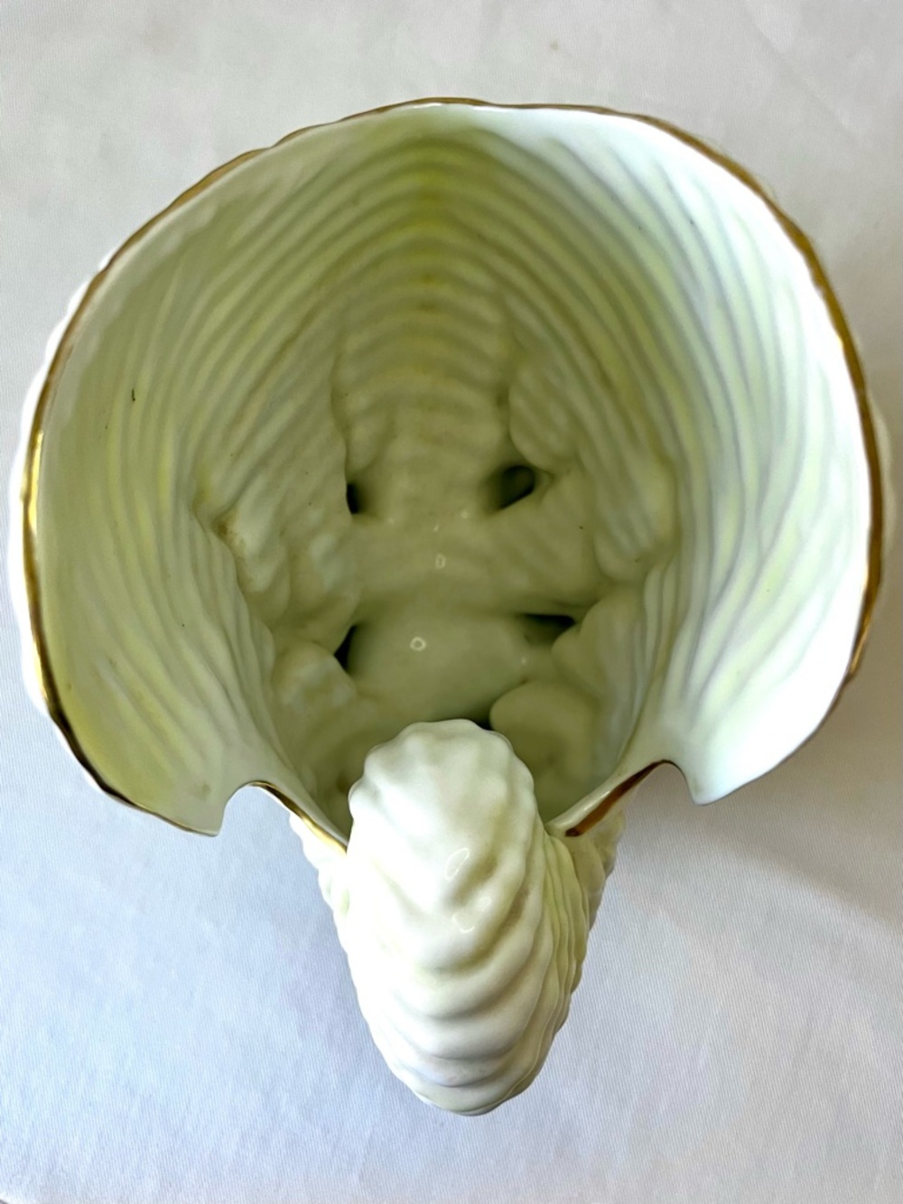 Antique Royal Worcester Porcelain Nautilus Ivory Shell Vase #23/100 - Picture 4 of 6
